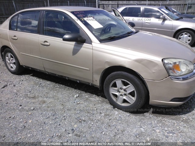 1G1ZT52804F146747 - 2004 CHEVROLET MALIBU LS Bej foto 6