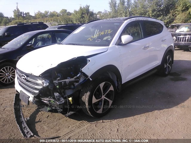 KM8J3CA29GU169588 - 2016 HYUNDAI TUCSON LIMITED/SPORT AND ECO/SE WHITE photo 2