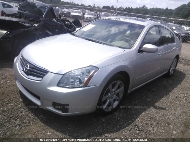 1N4BA41E38C837087 - 2008 NISSAN MAXIMA SE/SL SILVER photo 2