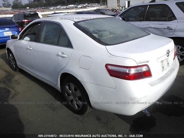 4T4BE46K69R062083 - 2009 TOYOTA CAMRY SE/LE/XLE WHITE photo 3