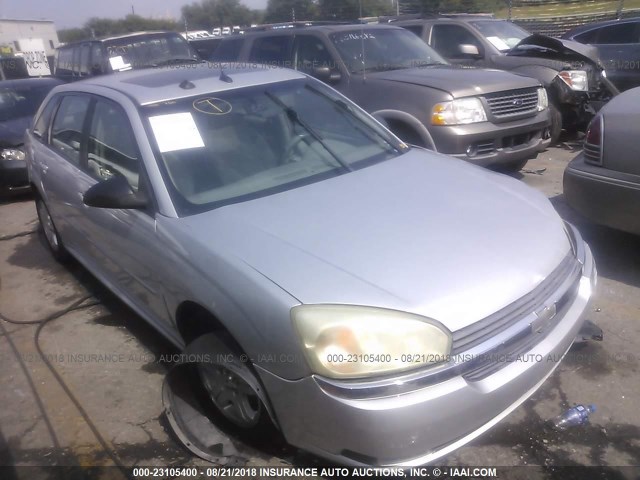 1G1ZU64884F157995 - 2004 CHEVROLET MALIBU MAXX LT SILVER photo 1