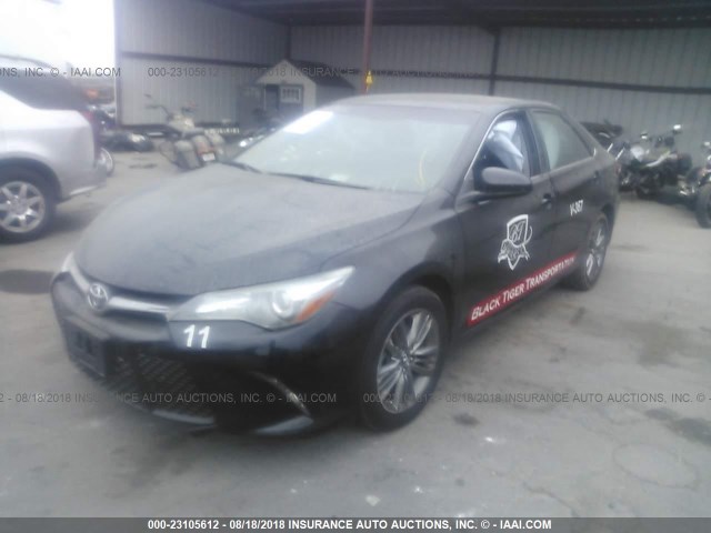 4T1BF1FK0GU233672 - 2016 TOYOTA CAMRY LE/XLE/SE/XSE BLACK photo 2