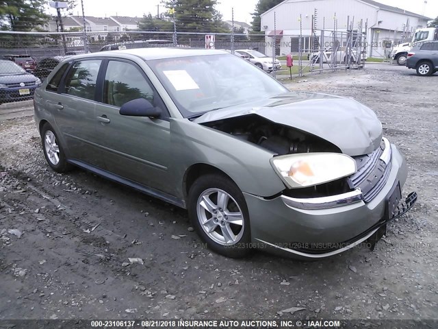 1G1ZT62815F184799 - 2005 CHEVROLET MALIBU MAXX LS 绿色 照片 1