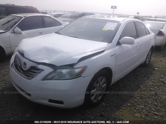 4T1BB46K07U029600 - 2007 TOYOTA CAMRY NEW GENERAT HYBRID WHITE photo 2