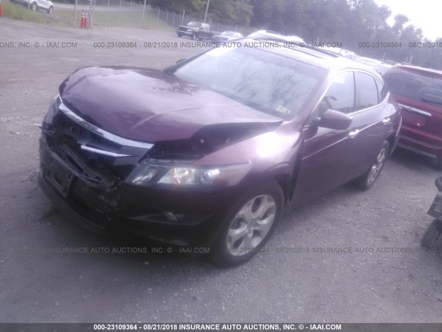 5J6TF2H53CL003768 - 2012 HONDA CROSSTOUR EXL BURGUNDY photo 2