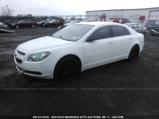 1G1ZB5E09CF209240 - 2012 CHEVROLET MALIBU LS Ağ foto 2