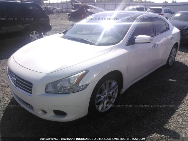 1N4AA5AP4AC867496 - 2010 NISSAN MAXIMA S/SV WHITE photo 2