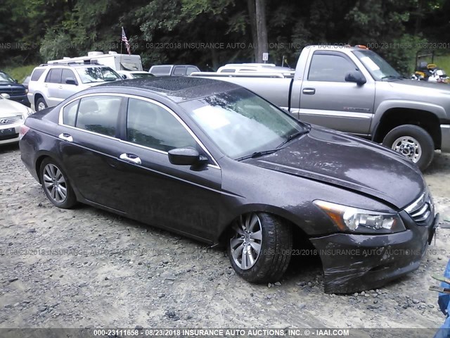 1HGCP3F82BA032941 - 2011 HONDA ACCORD EXL BROWN photo 1