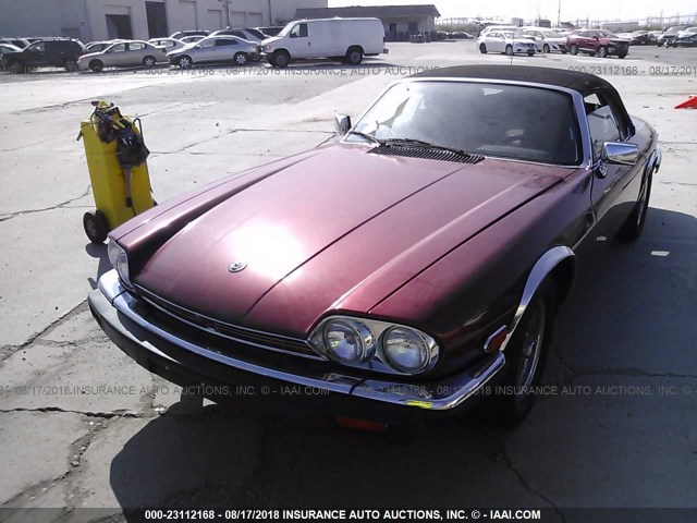 SAJNV4845KC164191 - 1989 JAGUAR XJS BURGUNDY photo 2