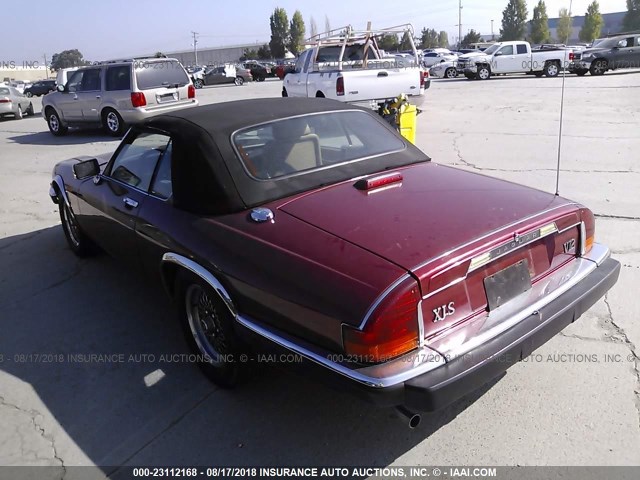 SAJNV4845KC164191 - 1989 JAGUAR XJS BURGUNDY photo 3