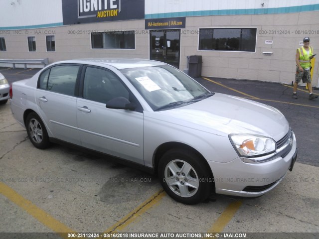 1G1ZT52865F291230 - 2005 CHEVROLET MALIBU LS SILVER photo 1