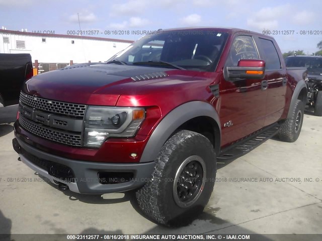 1FTFW1R67EFB00252 - 2014 FORD F150 SVT RAPTOR MAROON photo 2