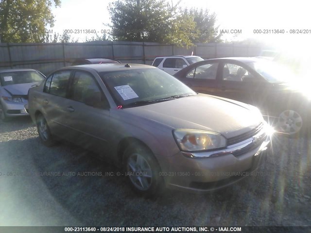 1G1ZT54875F312194 - 2005 CHEVROLET MALIBU LS TAN photo 1