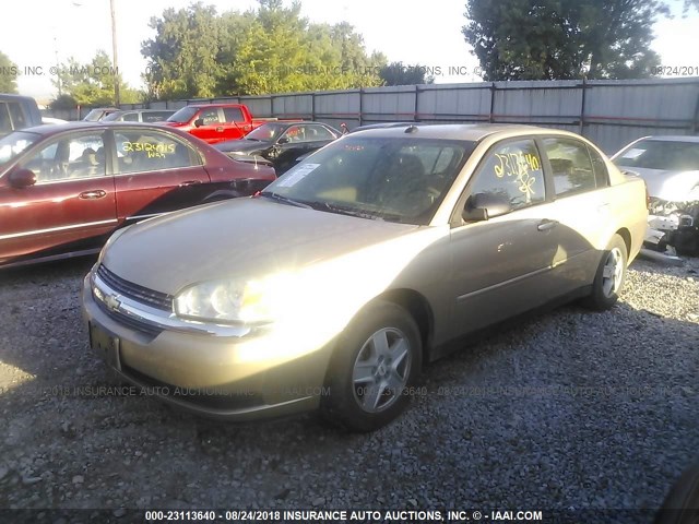 1G1ZT54875F312194 - 2005 CHEVROLET MALIBU LS TAN photo 2