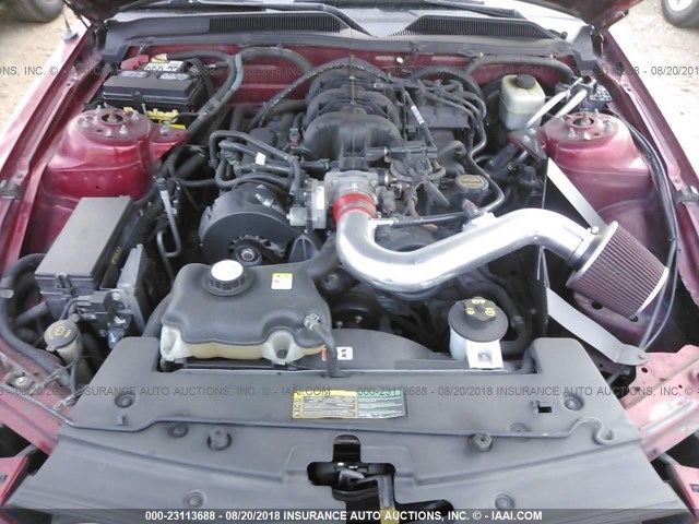 1ZVFT80N255162215 - 2005 FORD MUSTANG MAROON photo 10