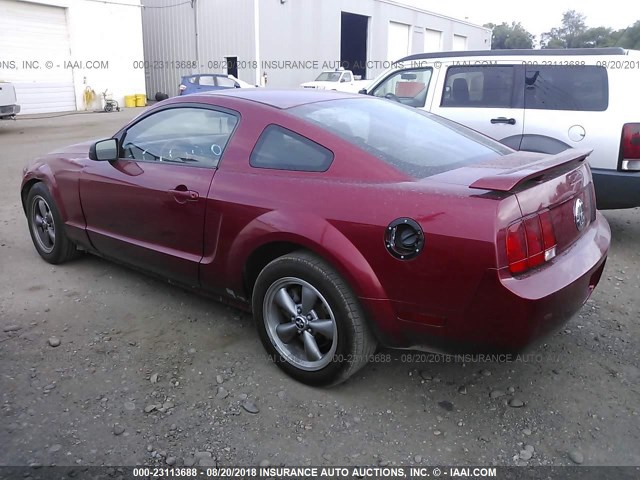 1ZVFT80N255162215 - 2005 FORD MUSTANG MAROON photo 3