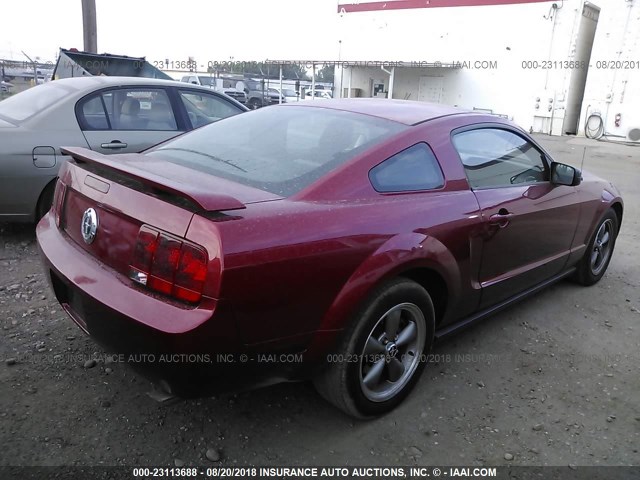 1ZVFT80N255162215 - 2005 FORD MUSTANG MAROON photo 4