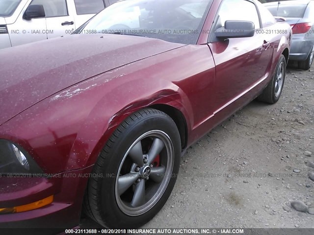 1ZVFT80N255162215 - 2005 FORD MUSTANG MAROON photo 6