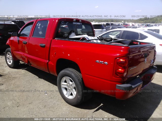 1D7RW3GK3BS667110 - 2011 DODGE DAKOTA SLT RED photo 3