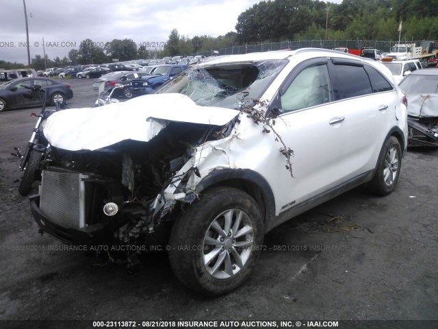 5XYPGDA53GG110282 - 2016 KIA SORENTO LX/L WHITE photo 2