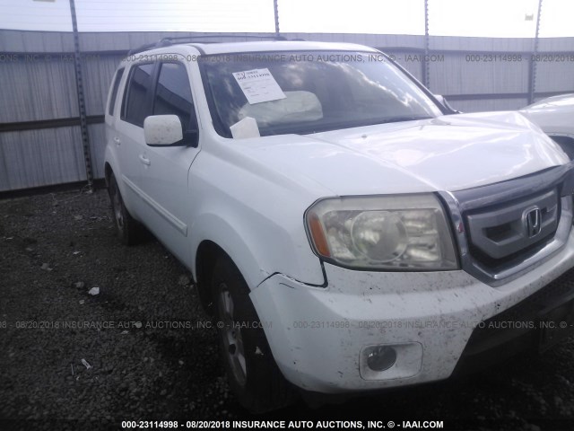 5FNYF38549B010337 - 2009 HONDA PILOT EXL WHITE photo 1