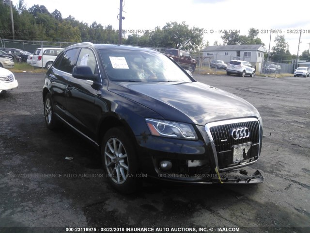 WA1LKAFP1AA076236 - 2010 AUDI Q5 PREMIUM PLUS BLACK photo 1