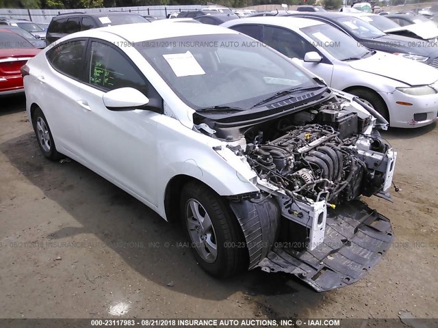 5NPDH4AE6EH484956 - 2014 HYUNDAI ELANTRA SE/SPORT/LIMITED WHITE photo 1