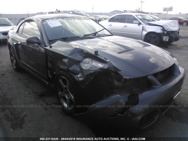 1FAFP48Y53F331641 - 2003 FORD MUSTANG COBRA SVT GRAY photo 1