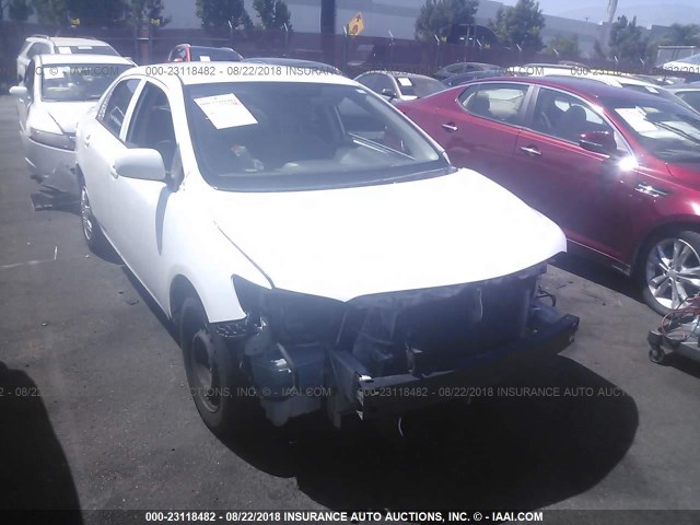 JTDBL40E09J014782 - 2009 TOYOTA COROLLA LE/XLE WHITE photo 1