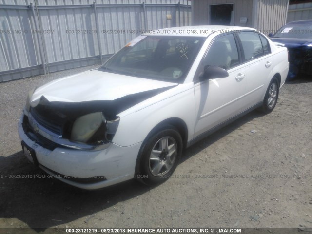 1G1ZT52855F279764 - 2005 CHEVROLET MALIBU LS Ağ foto 2
