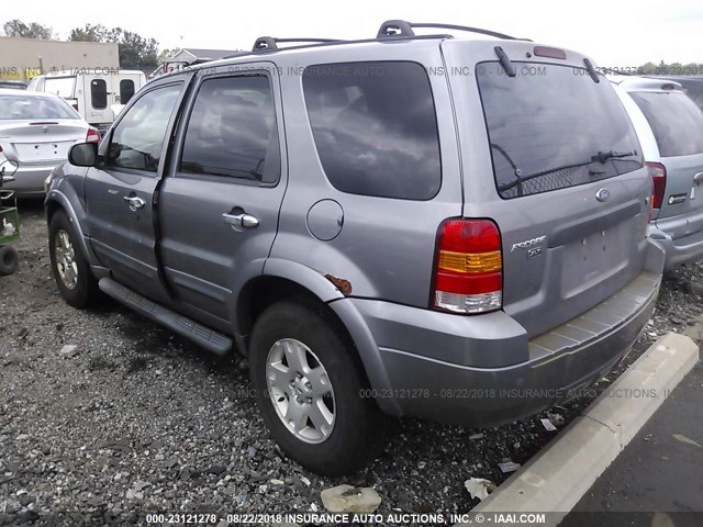 1FMYU03117KA92869 - 2007 FORD ESCAPE XLT GRAY photo 3