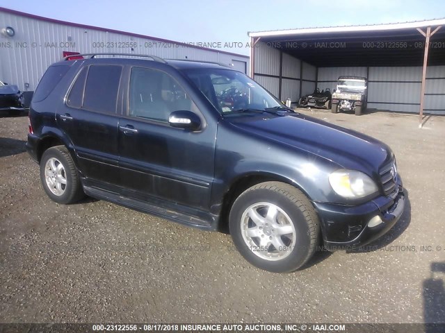 4JGAB75EX2A343466 - 2002 MERCEDES-BENZ ML 500 BLUE photo 1