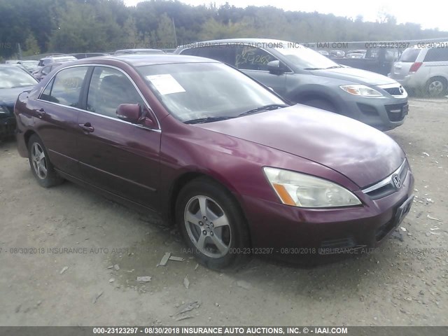 JHMCN36436C002017 - 2006 HONDA ACCORD HYBRID BURGUNDY photo 1