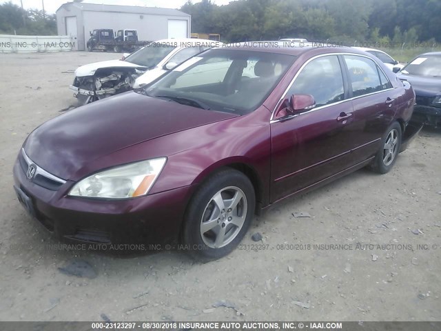 JHMCN36436C002017 - 2006 HONDA ACCORD HYBRID BURGUNDY photo 2