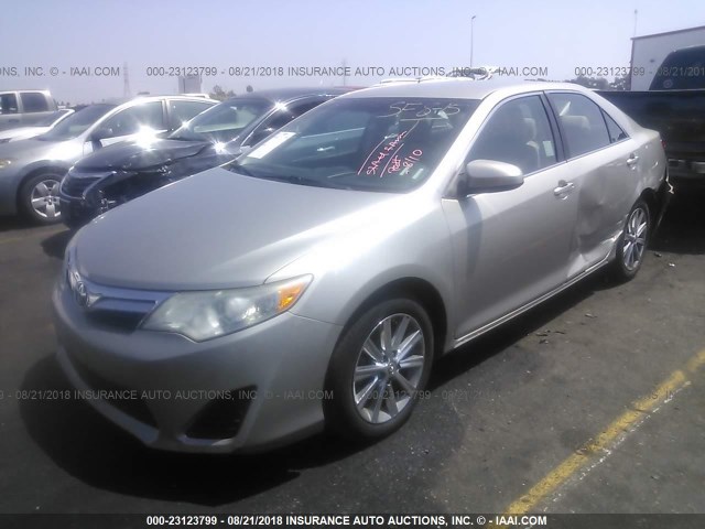 4T4BF1FK0DR293081 - 2013 TOYOTA CAMRY L/SE/LE/XLE Champagne photo 2