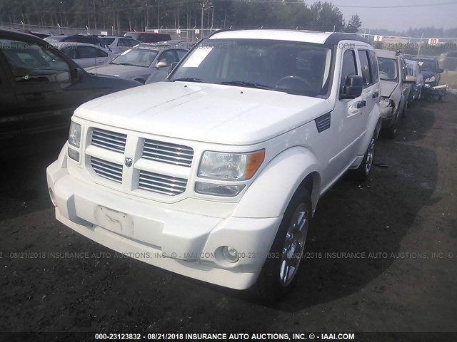 1D8GU58657W656339 - 2007 DODGE NITRO R/T WHITE photo 2