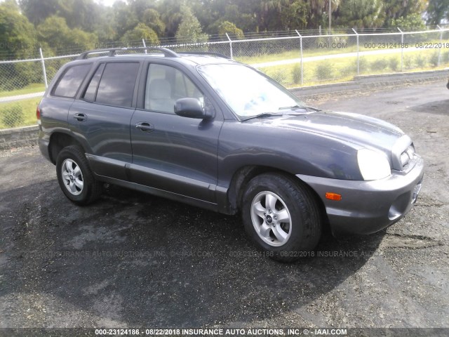 KM8SC13DX6U098696 - 2006 HYUNDAI SANTA FE GLS/LIMITED Pewter photo 1