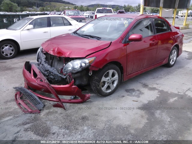 2T1BU4EE7BC624346 - 2011 TOYOTA COROLLA S/LE RED photo 2
