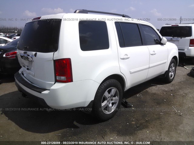 5FNYF3H53BB016863 - 2011 HONDA PILOT EXL WHITE photo 4