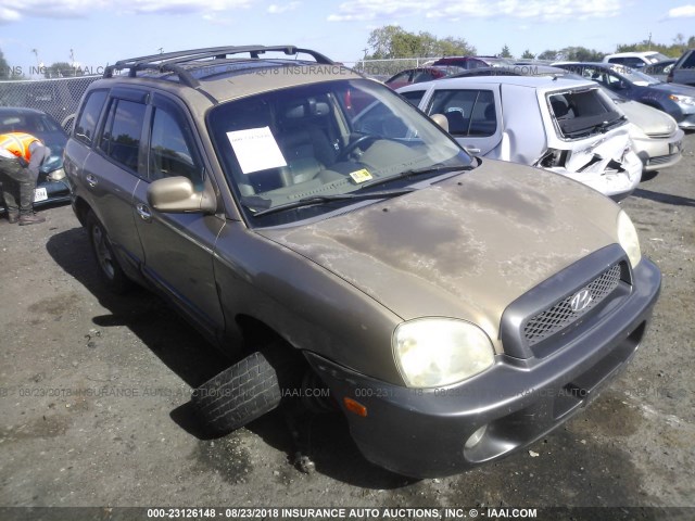 KM8SC73D83U382021 - 2003 HYUNDAI SANTA FE GLS/LX 棕色 照片 1