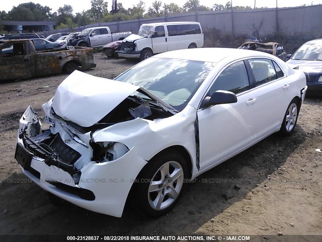 1G1ZA5EUXCF236386 - 2012 CHEVROLET MALIBU LS WHITE photo 2