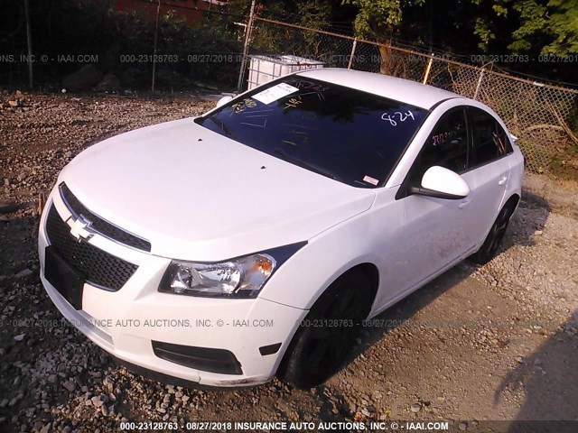 1G1P75SZ8E7316031 - 2014 CHEVROLET CRUZE WHITE photo 2