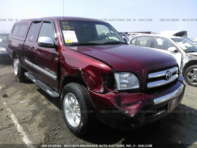 5TBRT34133S427864 - 2003 TOYOTA TUNDRA ACCESS CAB SR5 BURGUNDY photo 1