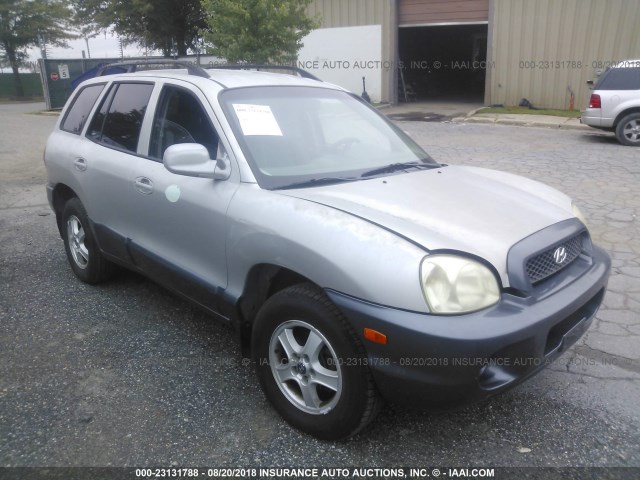 KM8SB12B63U350555 - 2003 HYUNDAI SANTA FE GL GRAY photo 1