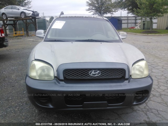 KM8SB12B63U350555 - 2003 HYUNDAI SANTA FE GL GRAY photo 6