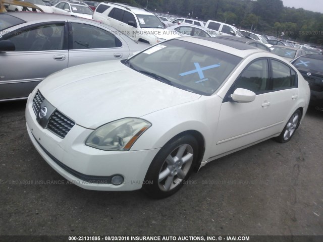 1N4BA41E26C811688 - 2006 NISSAN MAXIMA SE/SL WHITE photo 2