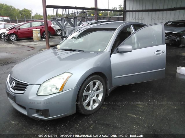 1N4BA41E47C817932 - 2007 NISSAN MAXIMA SE/SL SILVER photo 2