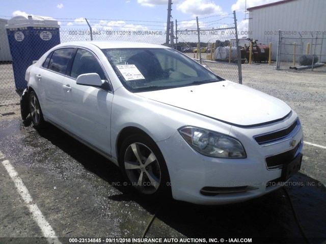 1G1ZC5EUXBF110702 - 2011 CHEVROLET MALIBU 1LT თეთრი ფოტო 1