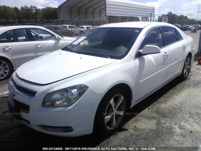 1G1ZC5EUXBF110702 - 2011 CHEVROLET MALIBU 1LT თეთრი ფოტო 2