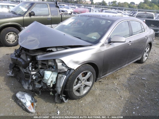 1G1ZC5E18BF385278 - 2011 CHEVROLET MALIBU 1LT ყავისფერი ფოტო 2